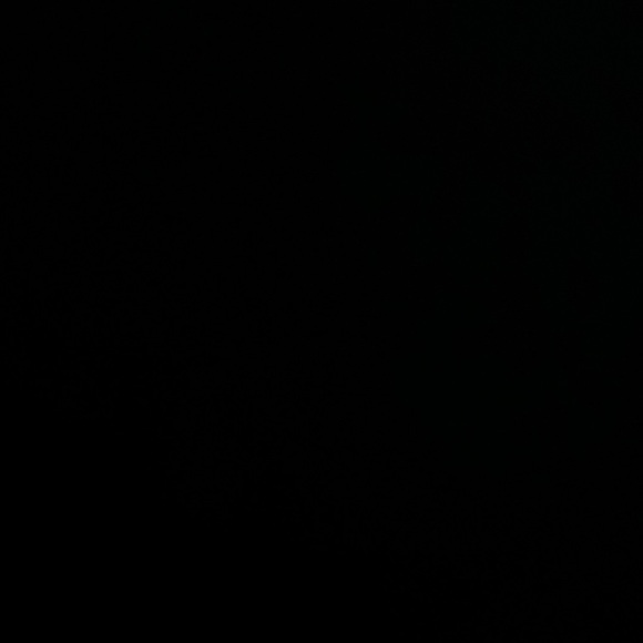 Meet your Posher, David - Picture 1 of 1